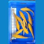 paket karasi 25-30 MH MM 10ekor 