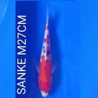SANKE M27CM