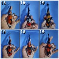 ALL IN 15-19CM
