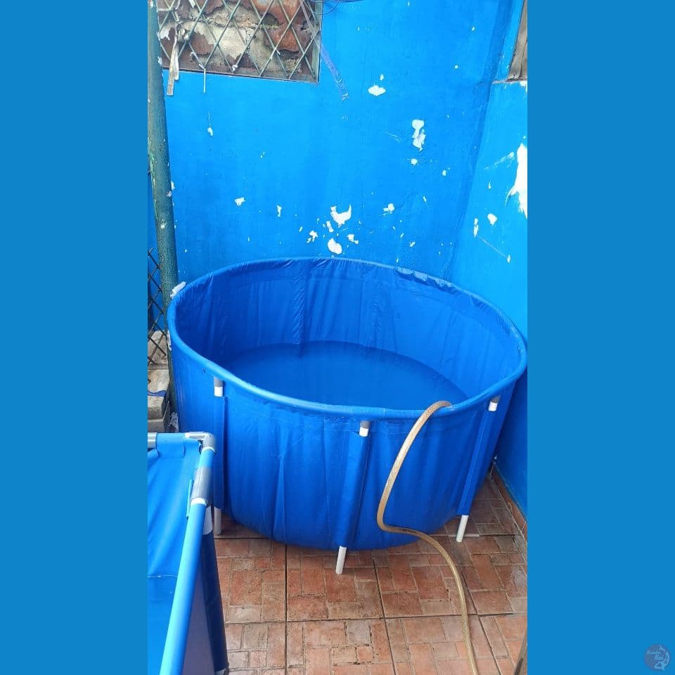Kolam Vat Terpal Orchid