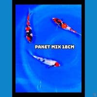 paked mix 17-18cm