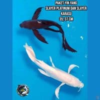 paket yin yang 