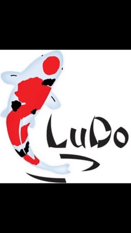 LuDo Koi