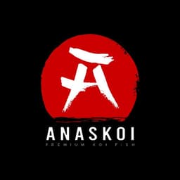 Anas koi