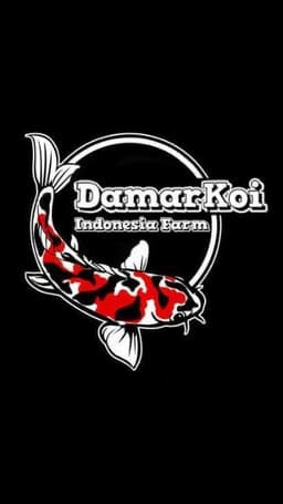 Damarkoi Indonesia ®
