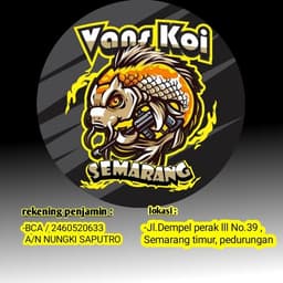 VANS KOI SEMARANG 