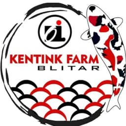 khenting koi