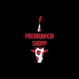 Premium koi 