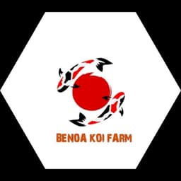 Benoa koi farm