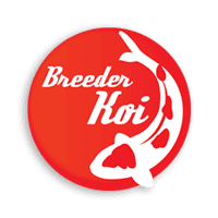 BreederKoi