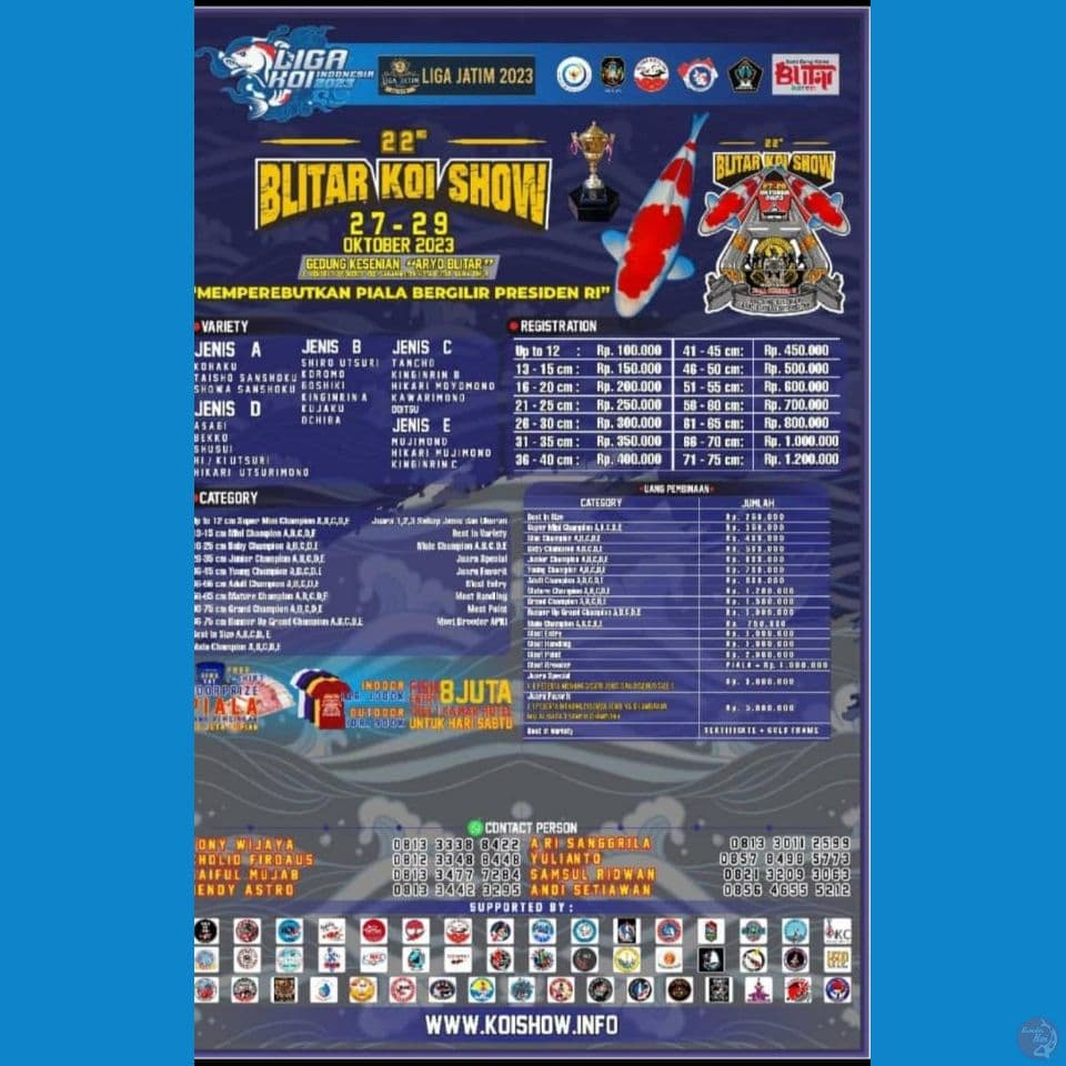 paket sanke SQ siap show.