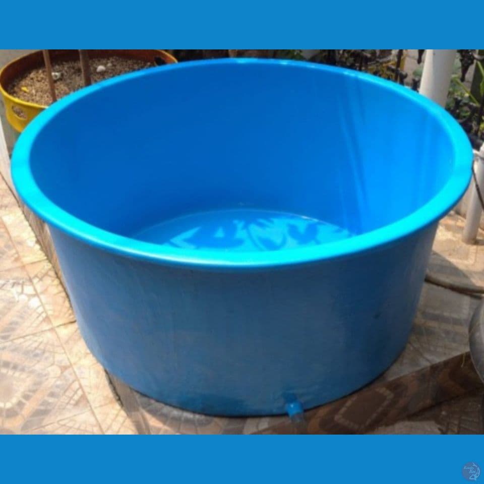 Bak fibber Karantina ikan