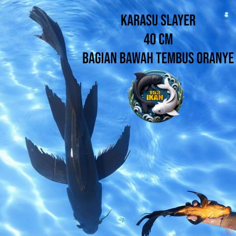 Karasu Slayer