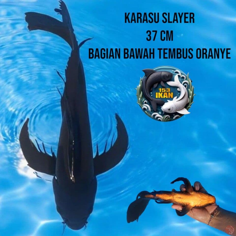 Karasu Slayer