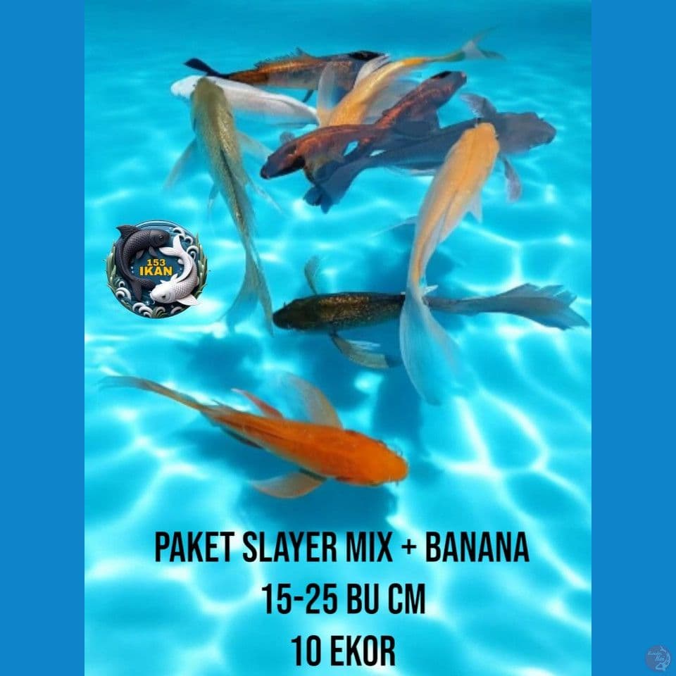 paket slayer mix + banana