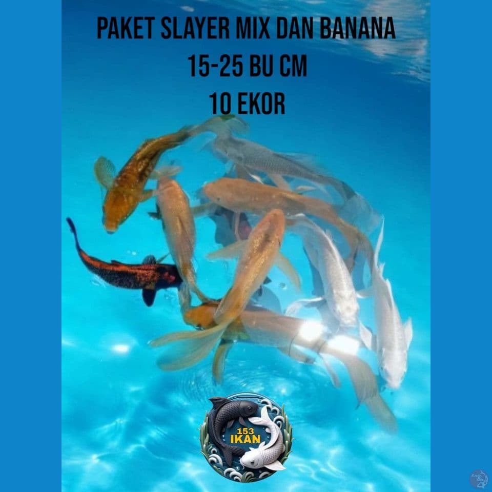paket slayer mix + banana