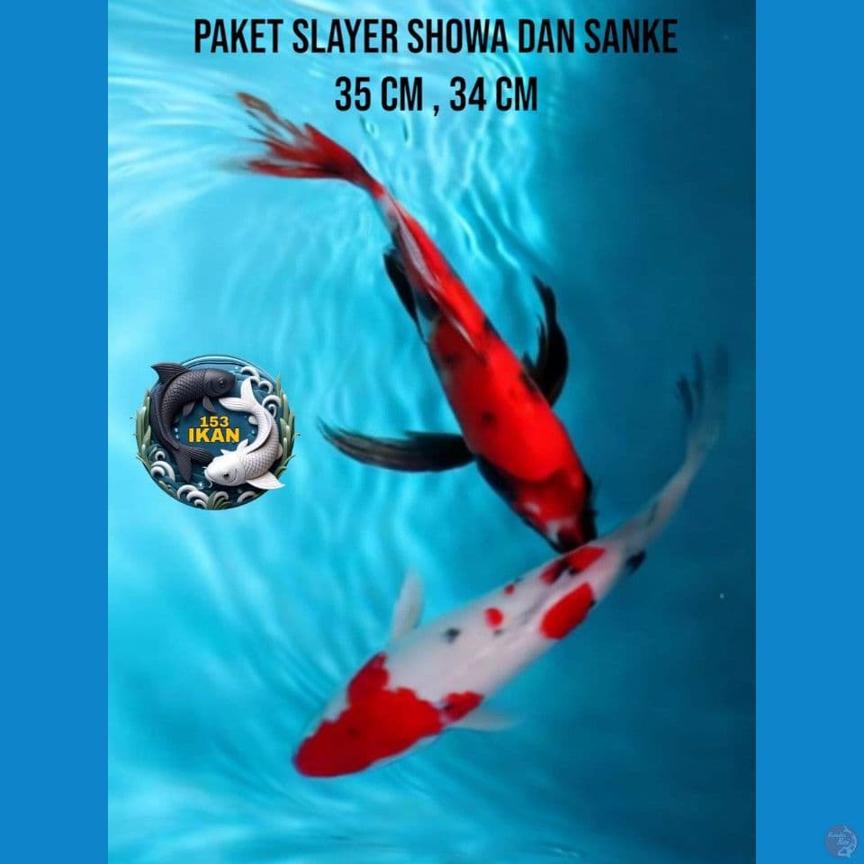 paket slayer showa dan sanke